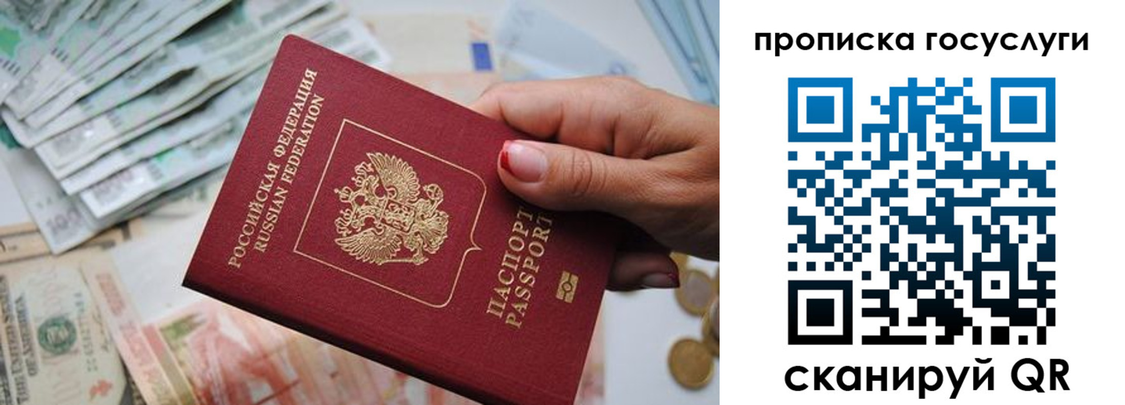 прописка поиск в Читинской области